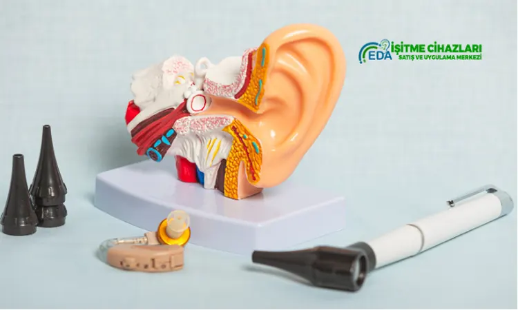 How hearing aids work