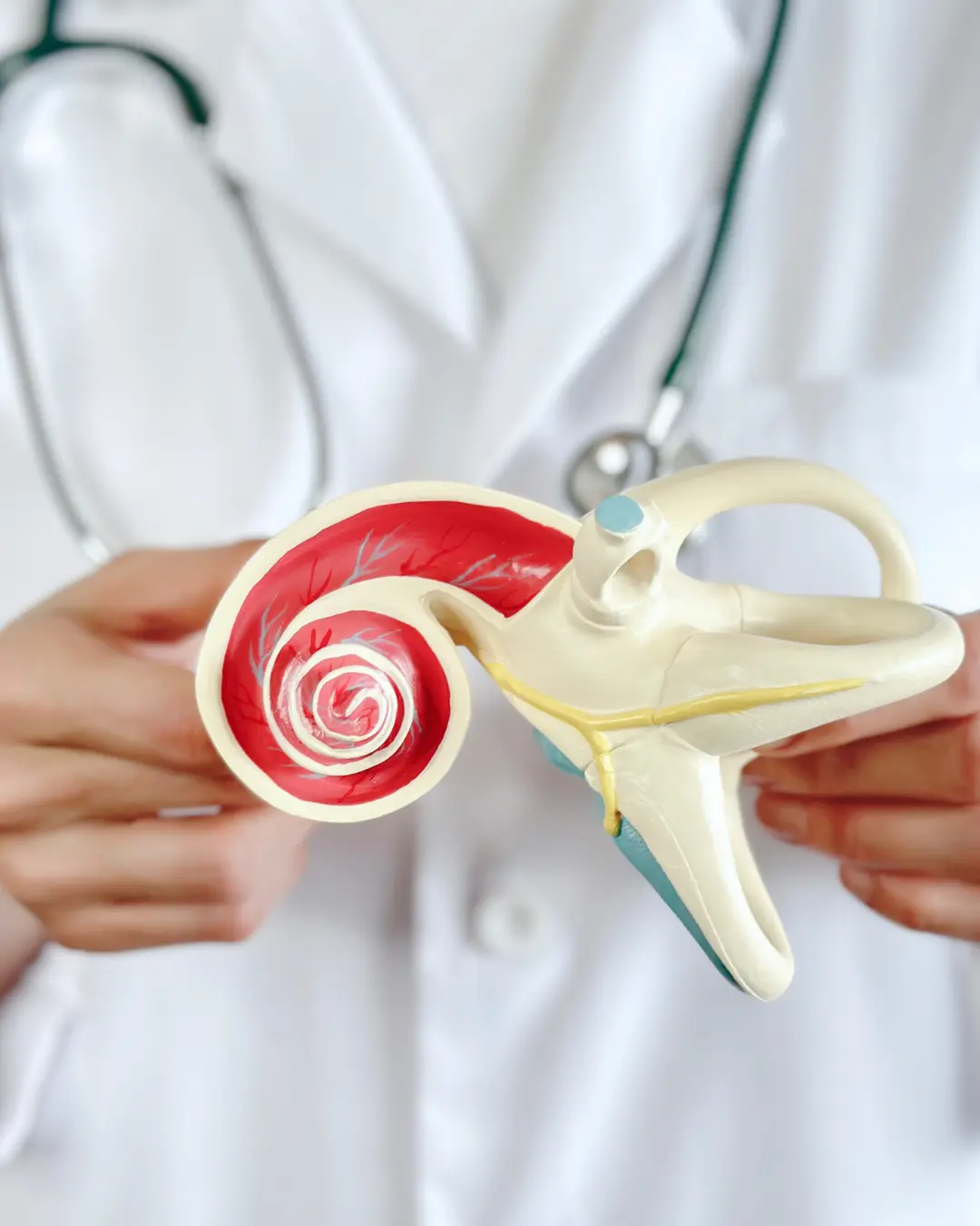 Otoskleroz (Kulak Kemiklerinin Kireçlenmesi) Hastalığında İşitme Cihazı Kullanımı